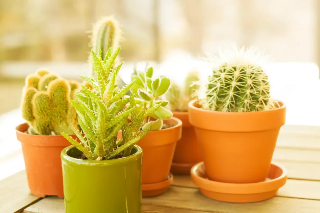 Como Decorar a Casa para Receber os Convidados no Verão?