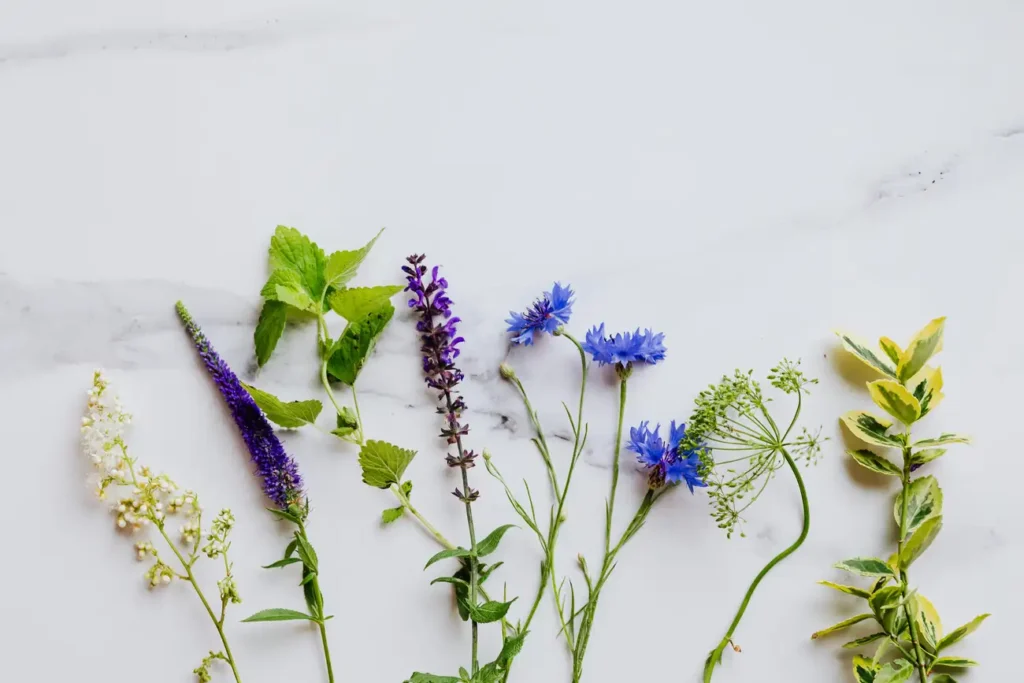 Como preparo um banho com ervas medicinais em casa?