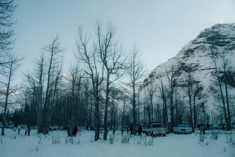 O que você precisa para sobreviver em um Acampamento de Inverno?