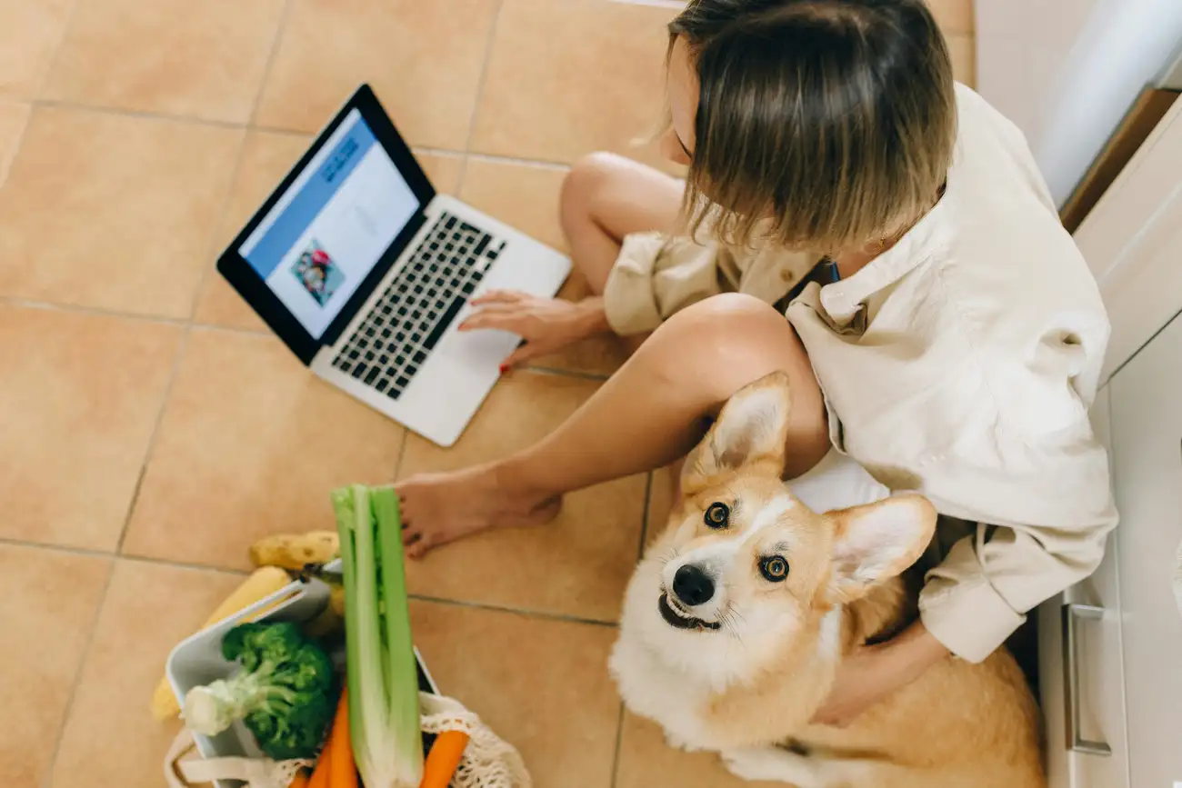 Onde Encontro os Melhores Brechós Online?