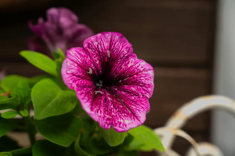 Os 10 mitos sobre beleza que você desconhece?