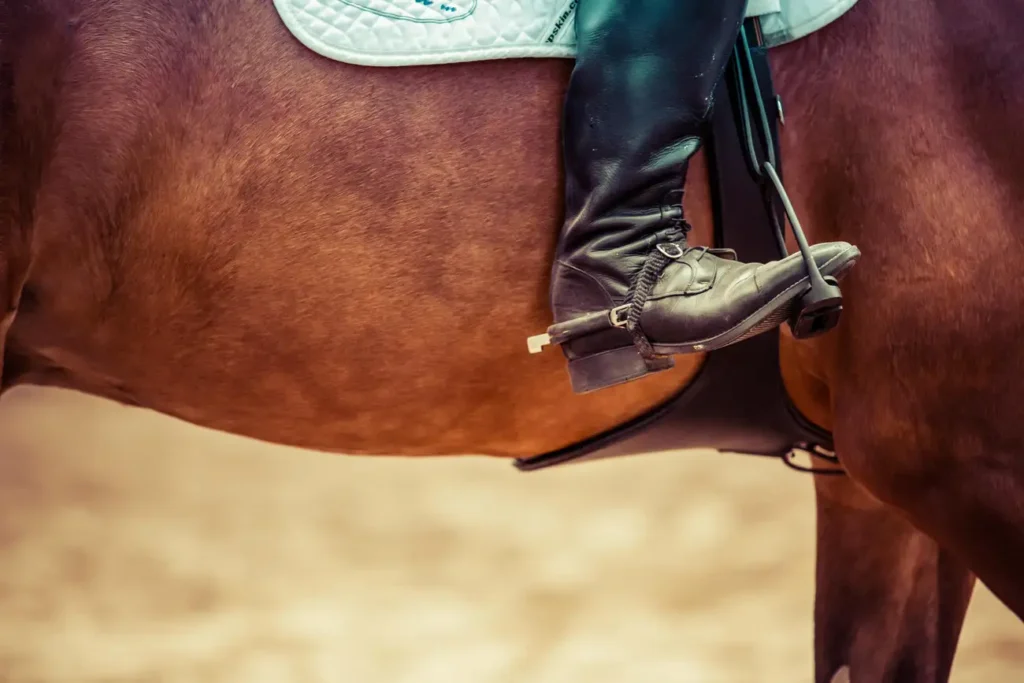 Quais são as Melhores Botas de Montaria em Promoção?