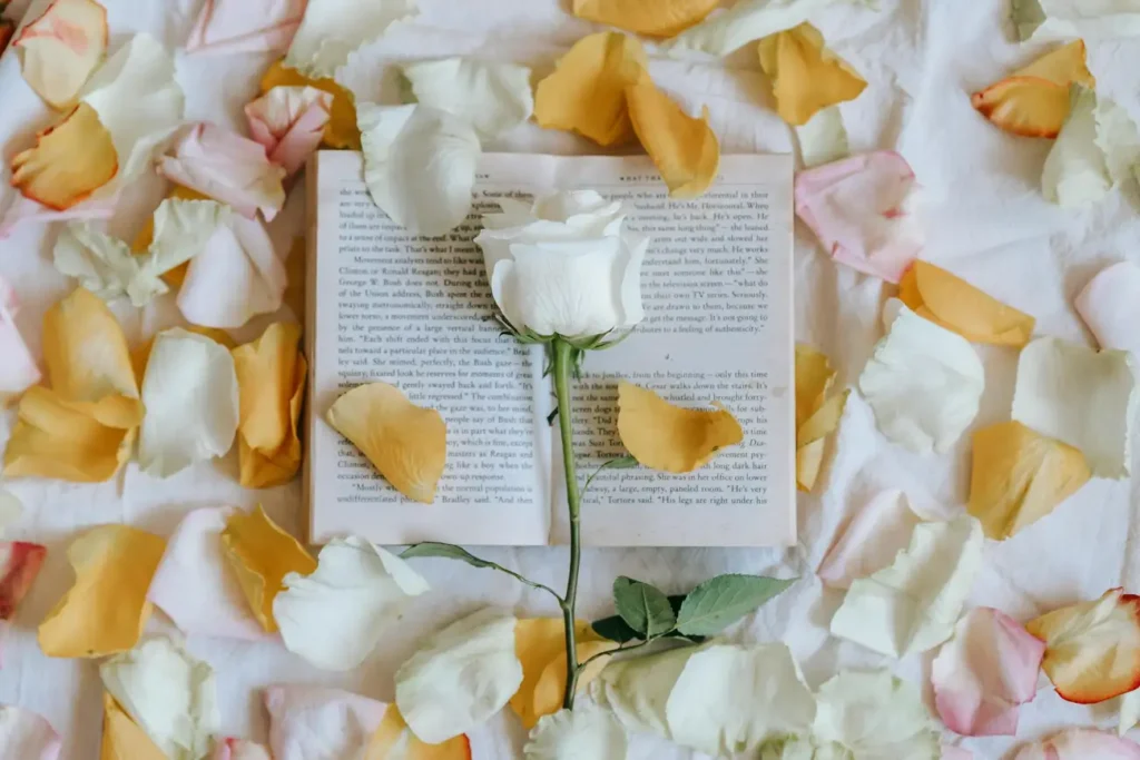 Quais são os 10 livros de romance que você precisa ler?
