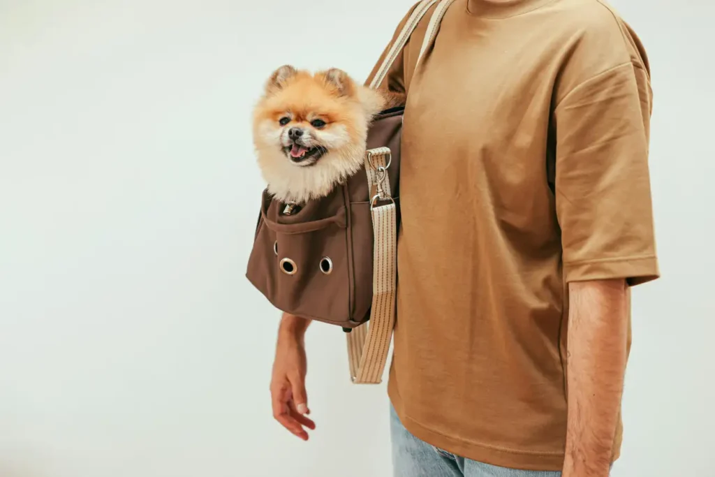 Quais são os melhores modelos de bolsas para carregar cachorros?