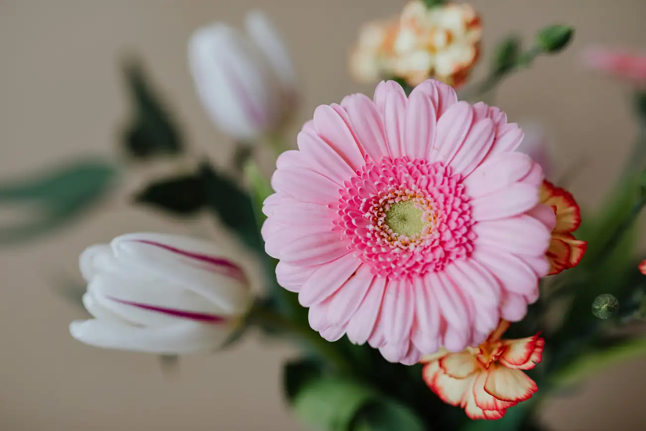 Quanto Custa um Bouquet de Tulipas?
