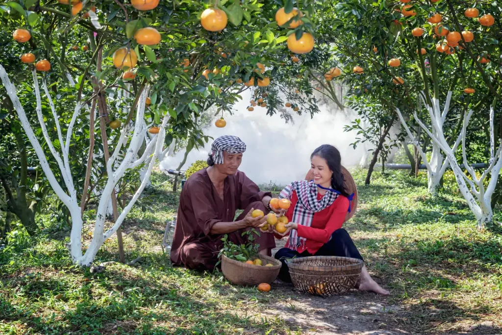 Que cidades famosas são pelas suas frutas?