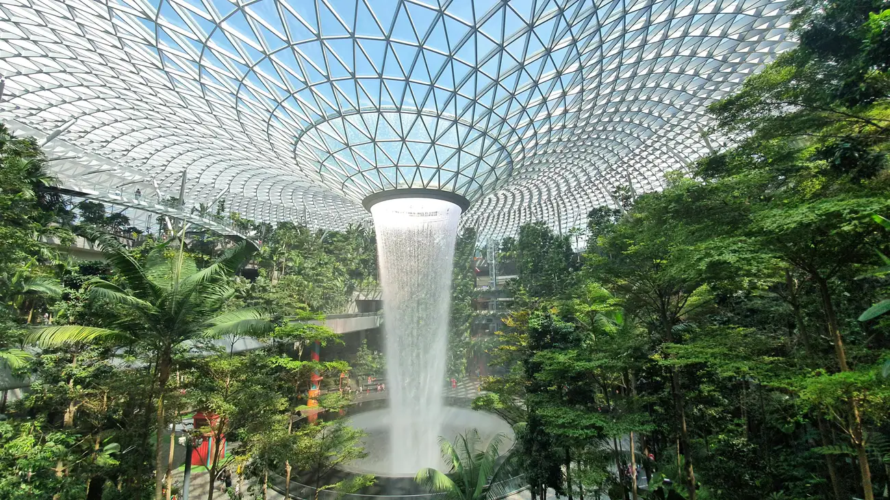 Como Criar um Jardim Interno de Sucesso em Casa?