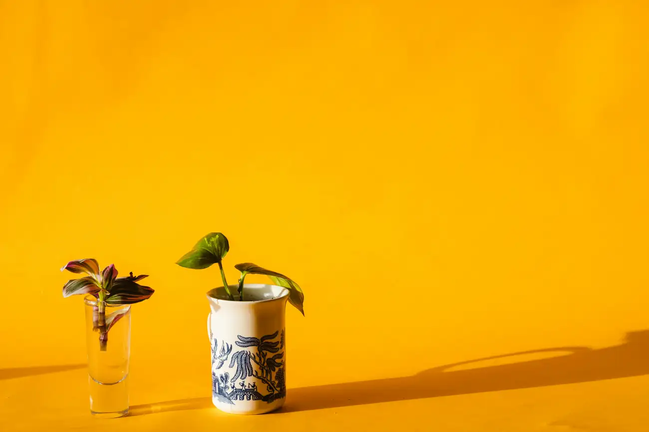 Como Decoração Barata e Criativa pode ser Feita em Casa?