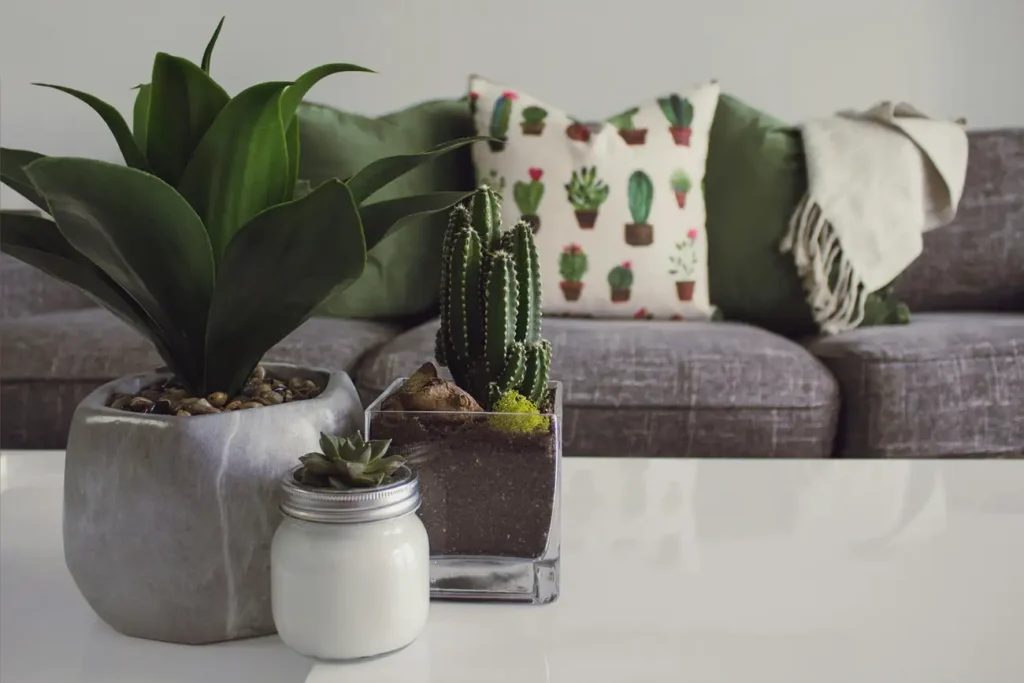 Como Decorar com Almofadas sem Errar?