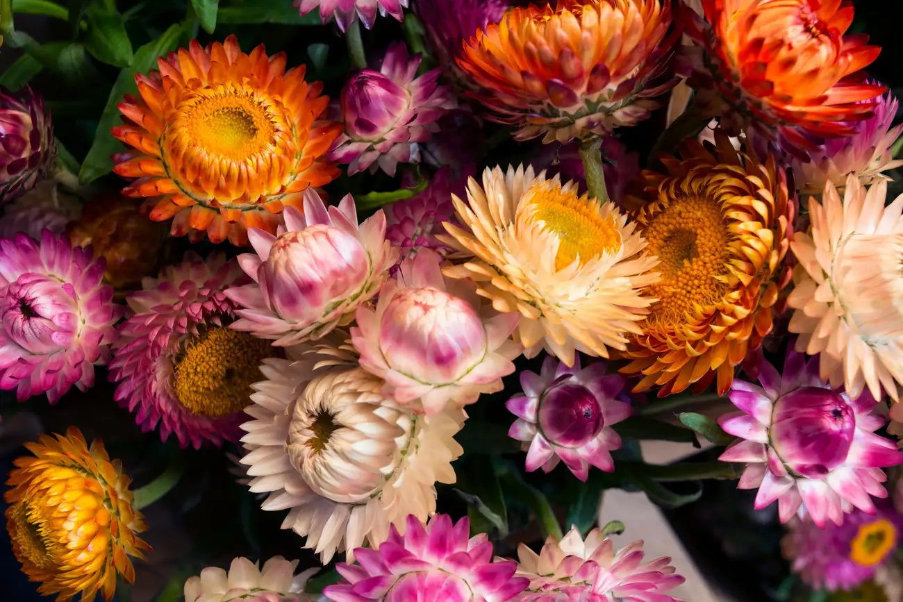 Como Decorar com Mini Margaridas?