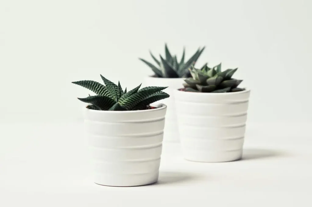 Como Decorar um Pequeno Escritório com Estilo?