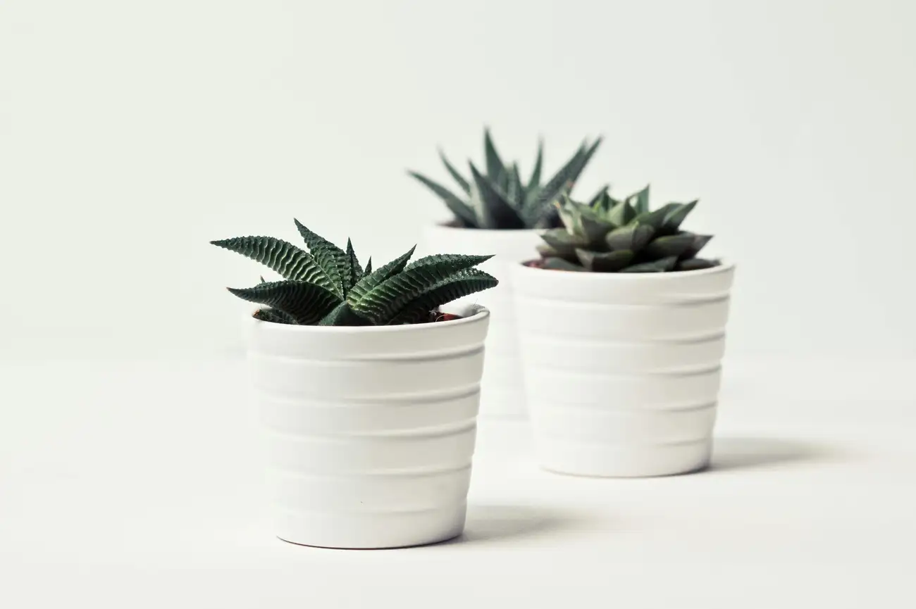 Como Decorar um Pequeno Escritório com Estilo?