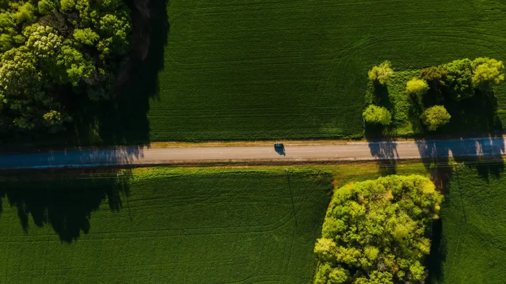 Como Transportar Crianças no Carro sem Riscos?