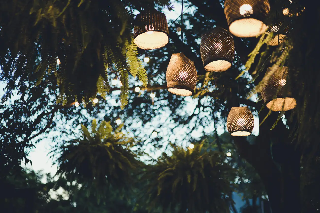 Como Usar Samambaias para Criar Jardins Verticais Incríveis?