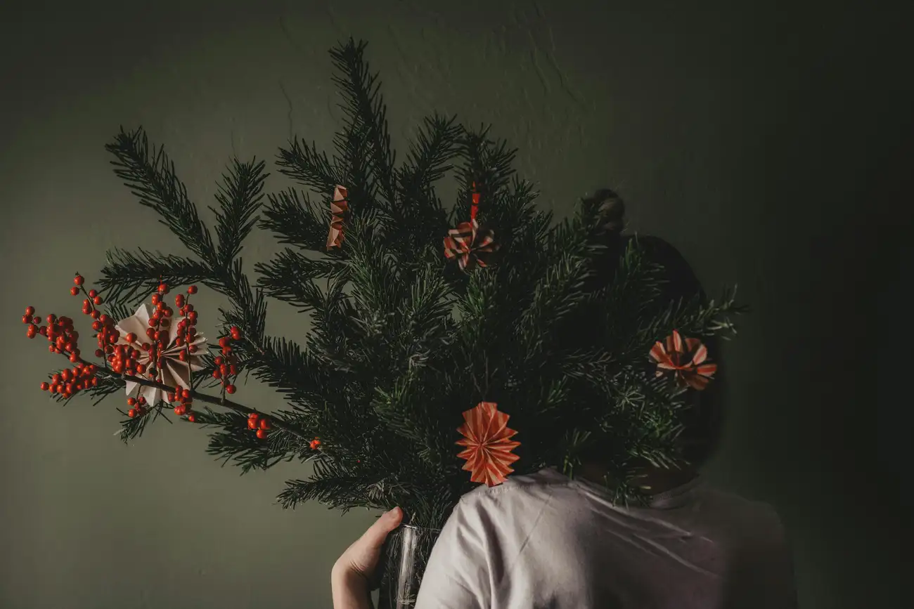 Como dar vida às salas sem plantas verdadeiras?