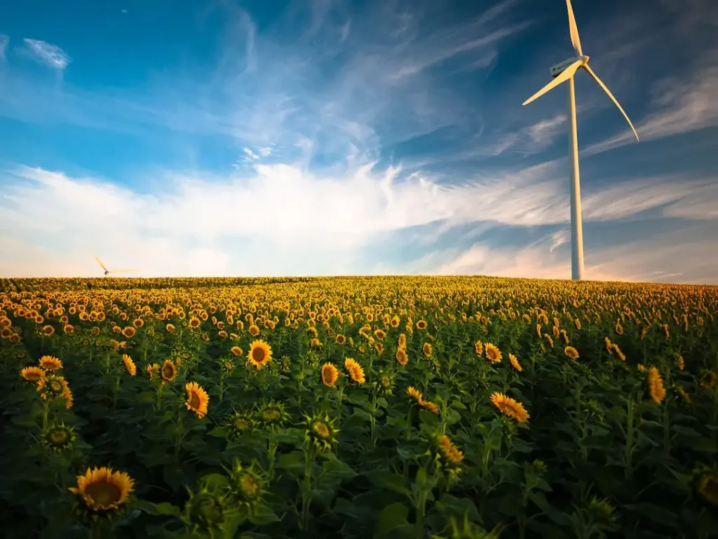 O que é melhor: energia eólica ou energia solar?