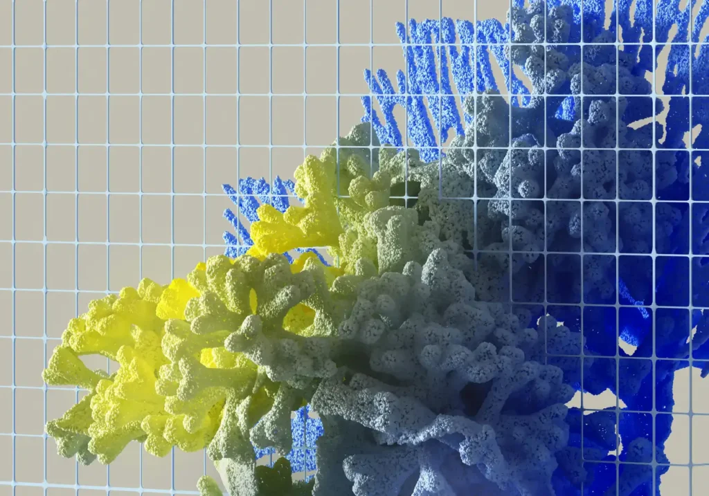 O que um Doutorado em Bioética pode fazer pela Sociedade?