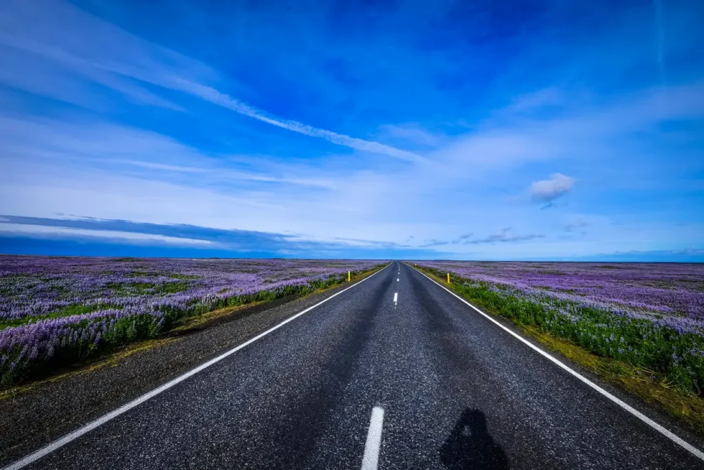 O que você espera encontrar em Fotos de Paisagens naturais?