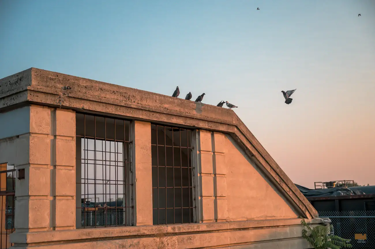 O que você precisa para aprovar em um Curso de Construção Civil?