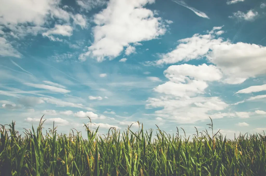 O que você precisa saber sobre Meteorologia?