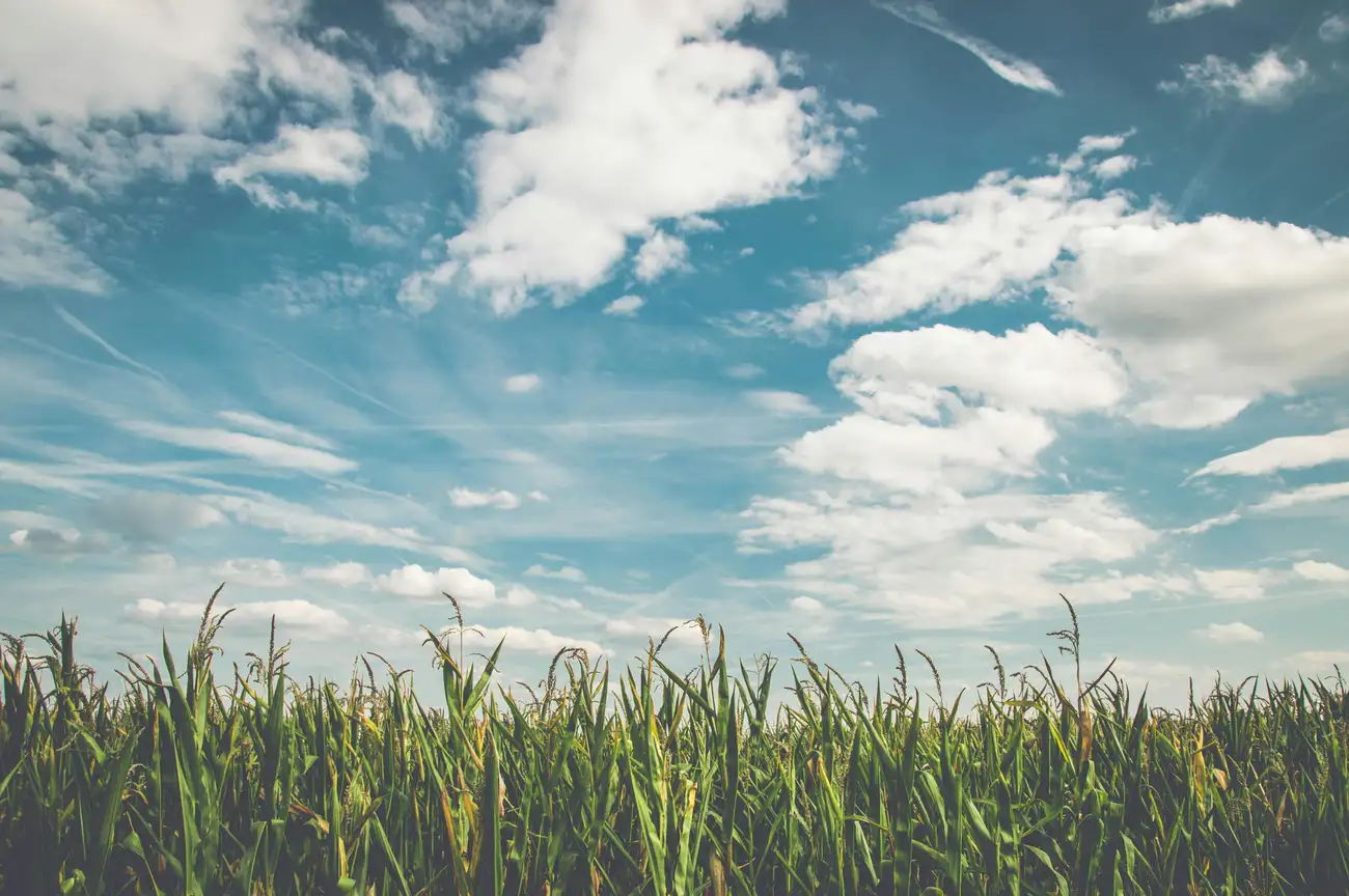 O que você precisa saber sobre Meteorologia?