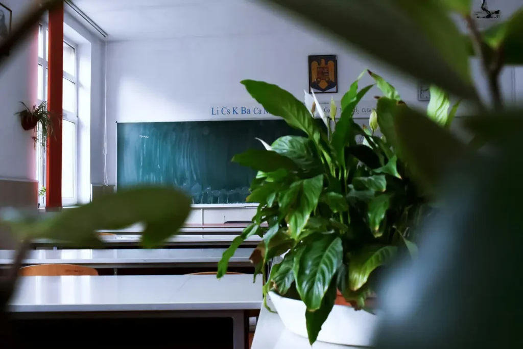 Quais Bolsas de Estudo Você Consegue com o Fapema MA?