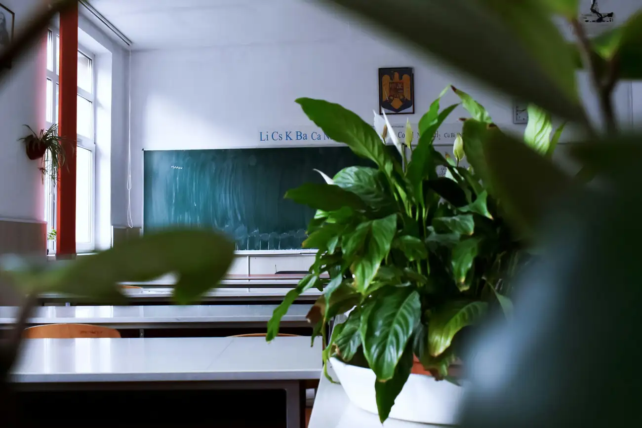 Quais Bolsas de Estudo Você Consegue com o Fapema MA?
