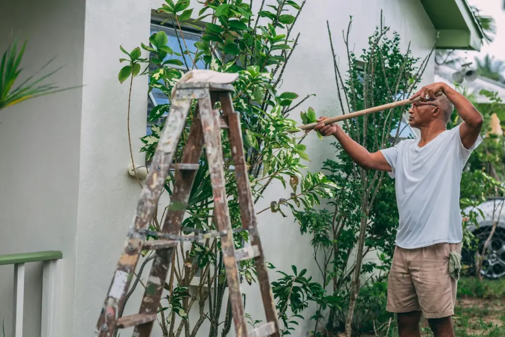 Quais Cores Escolher para Pintar a Parede da Casa?
