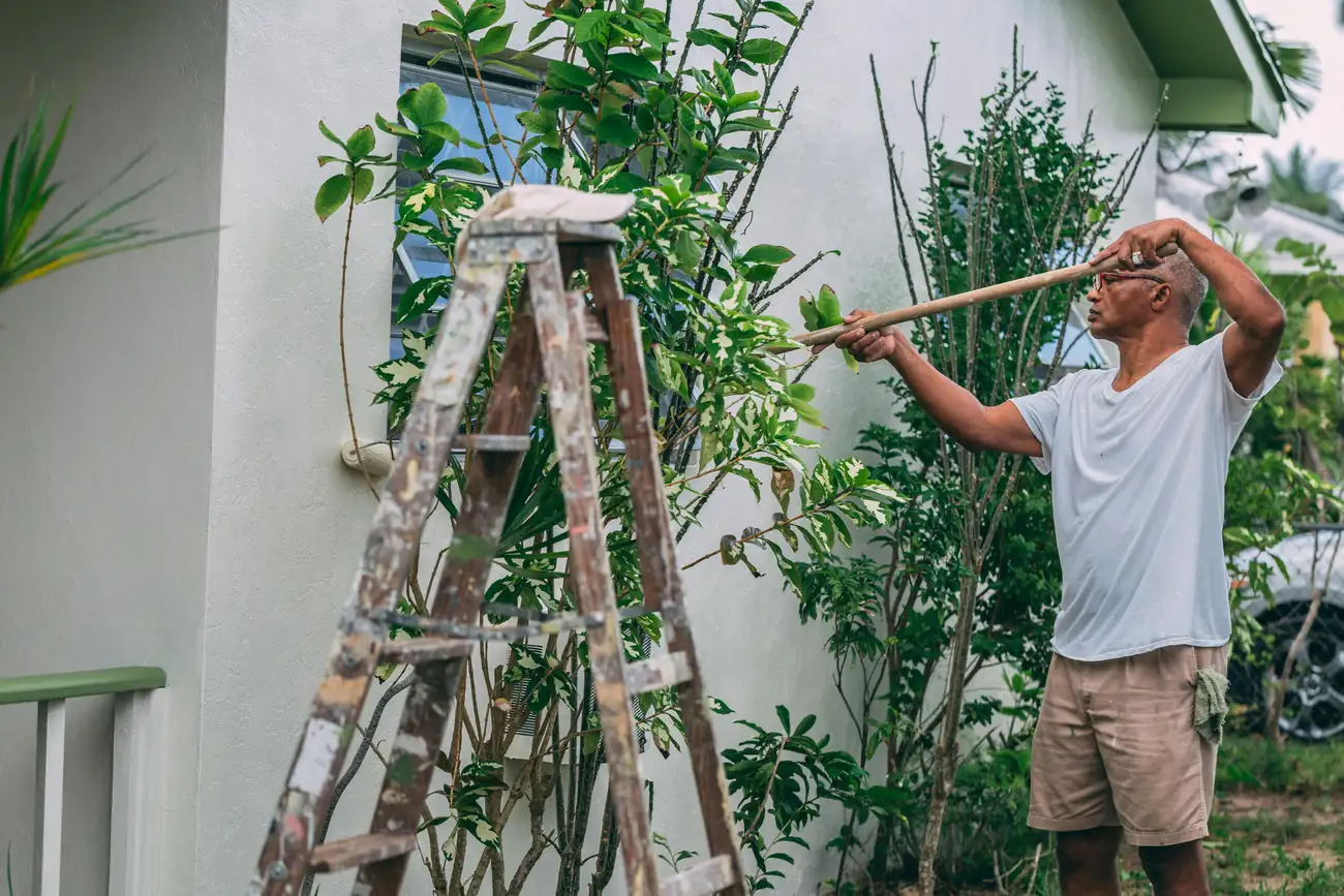 Quais Cores Escolher para Pintar a Parede da Casa?