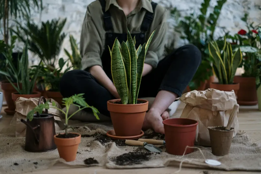 Quais São as Verdadeiras Propriedades Naturais das Ervas?