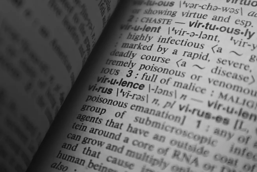 Você Sabe o Que Significam Essas Palavras em Inglês?