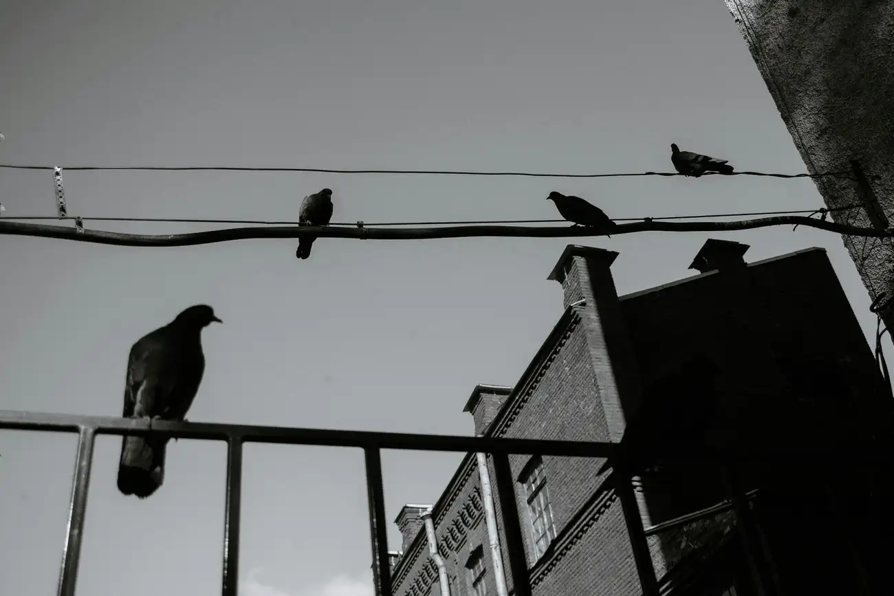 Você sabe como preservar o Meio Ambiente?