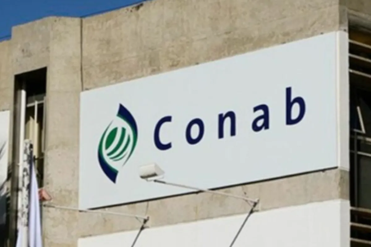 concurso da conab edital em mar o segundo o governo 403 vagas 595e62ed