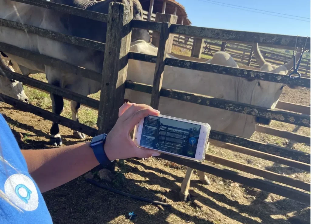 Aplicativo para pesar animais sem balança