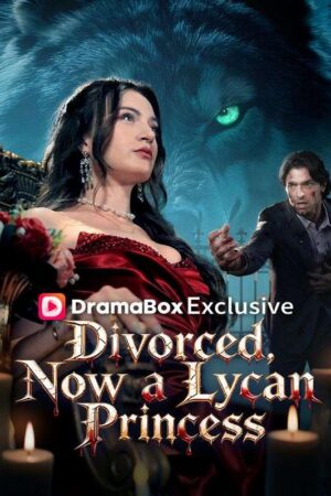 Divorced, Now a Lycan Princess