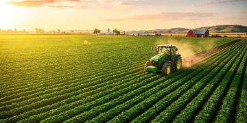 Sunrise over a healthy, expansive American farm field, symbolizing growth and federal support in agriculture.